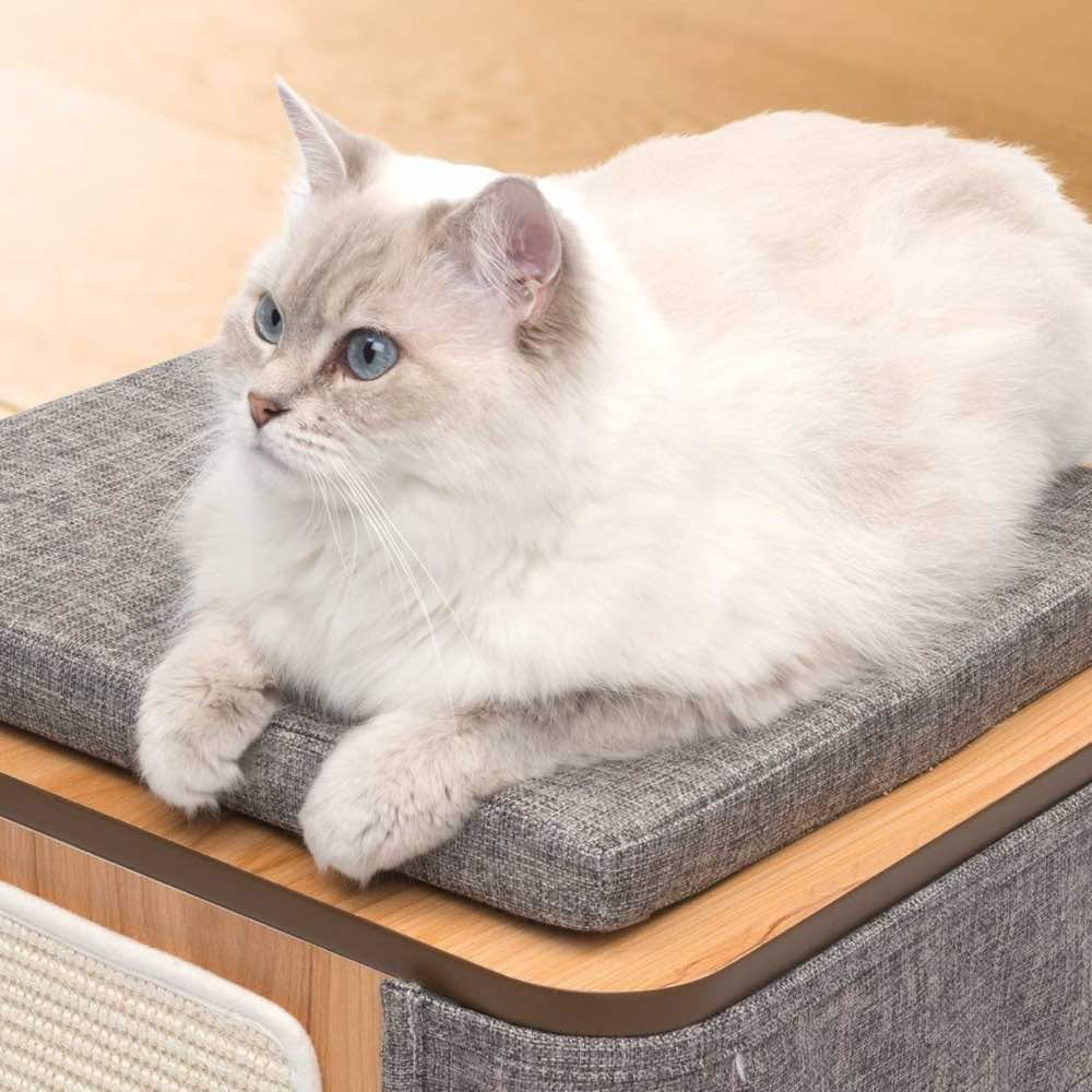 Vesper Cubo Cat Cube - Kohepets