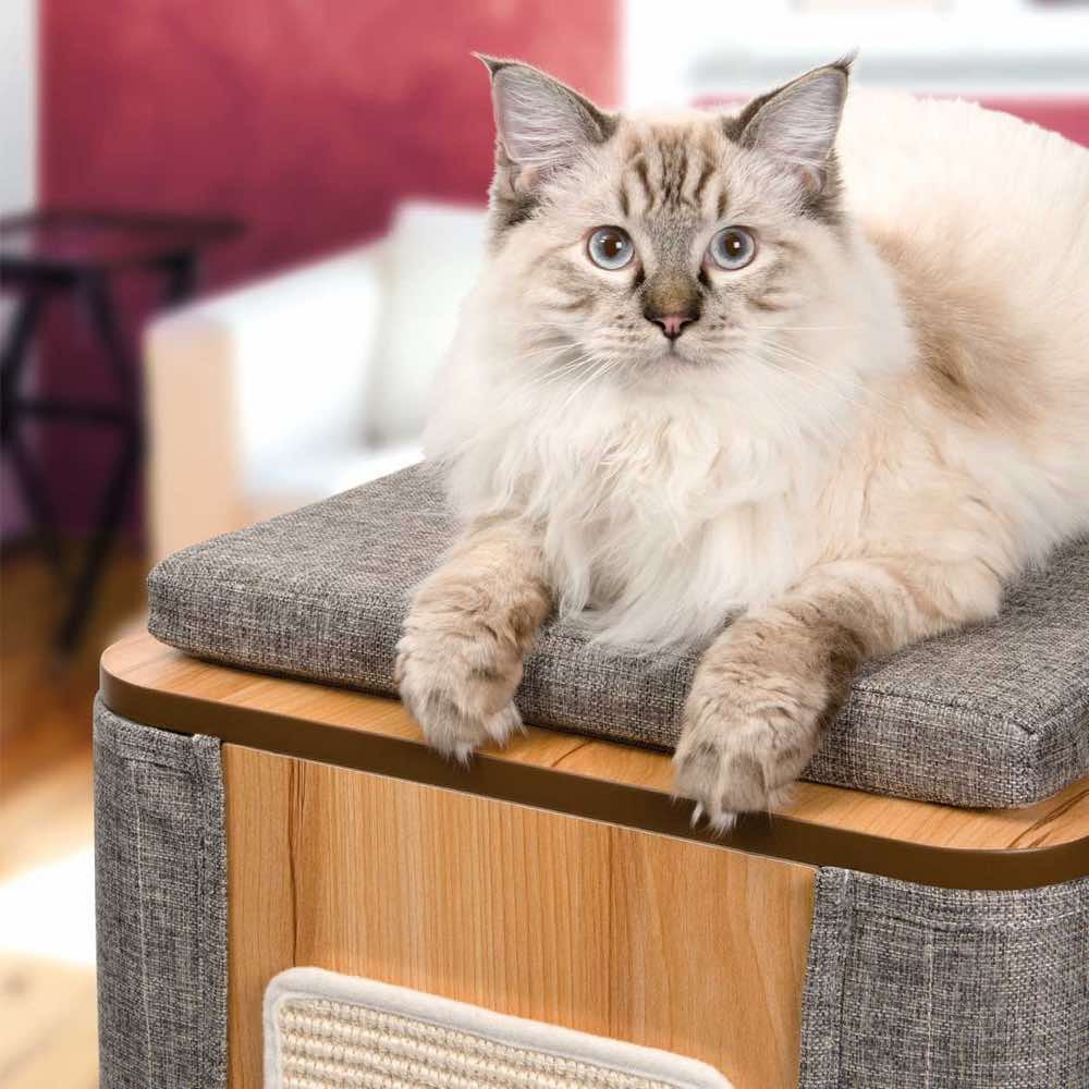 Vesper Cubo Tower Cat Condo - Kohepets