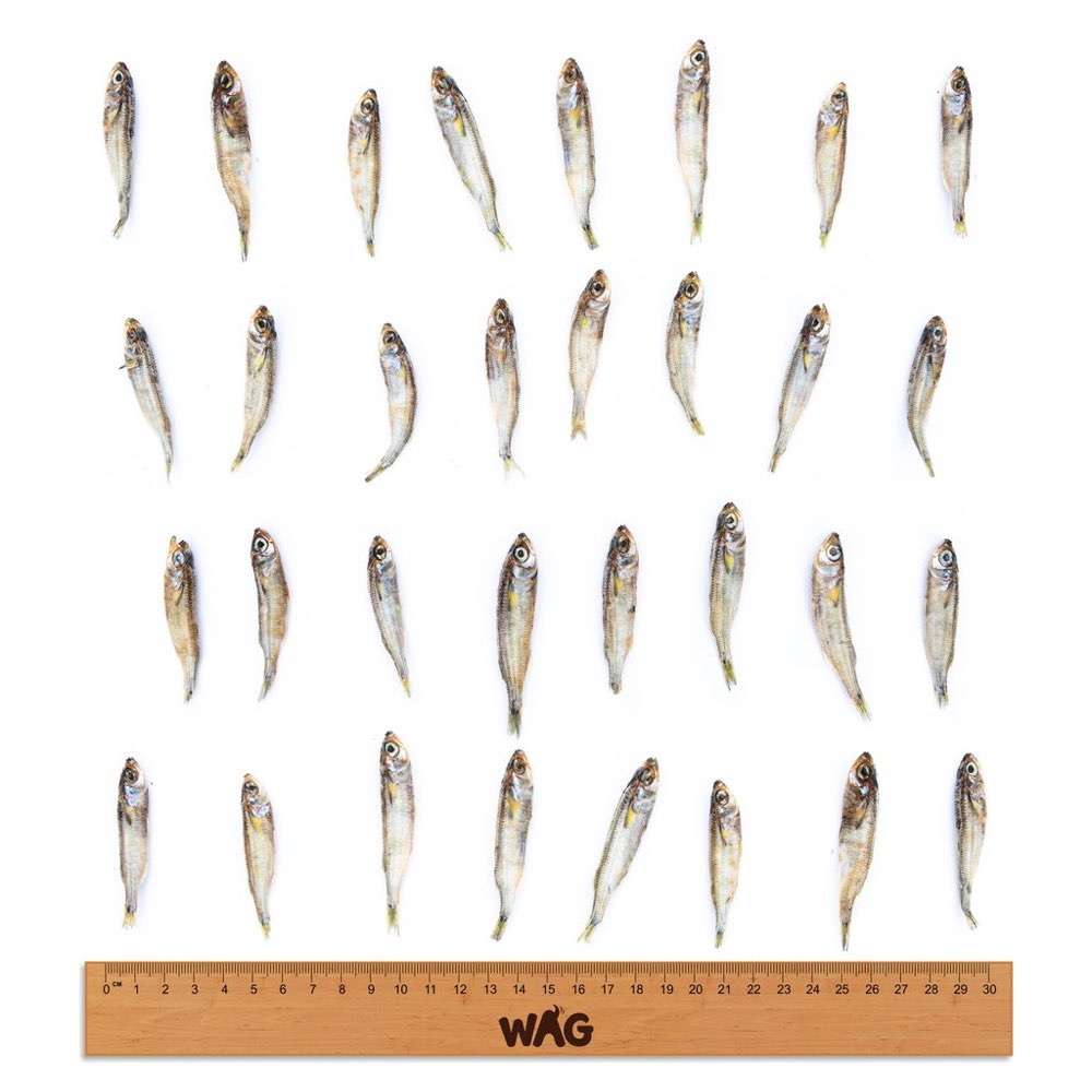 WAG Forage Fish Grain-Free Dog Treats 200g - Kohepets