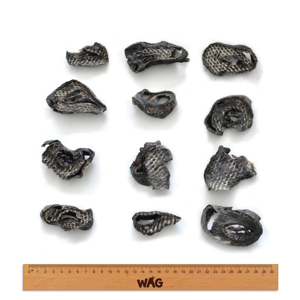 WAG Kangaroo Fillet Grain-Free Dog Treats 200g - Kohepets