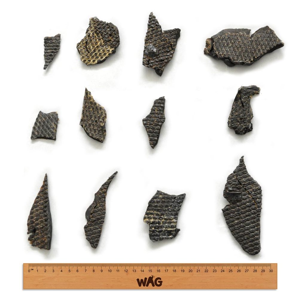 WAG Kangaroo Liver Grain-Free Dog Treats 200g - Kohepets