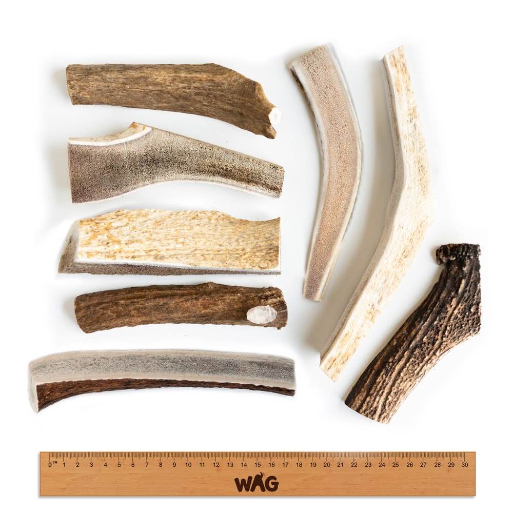 WAG Whole Deer Antler Grain-Free Dog Treat - Kohepets