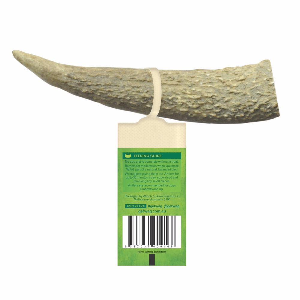 WAG Whole Deer Antler Grain-Free Dog Treat - Kohepets