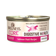 15% OFF: Wellness Core Digestive Health Salmon Pâté Canned Cat Food 85g - Kohepets