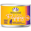 Wellness Just For Puppy Canned Dog Food 170g - Kohepets