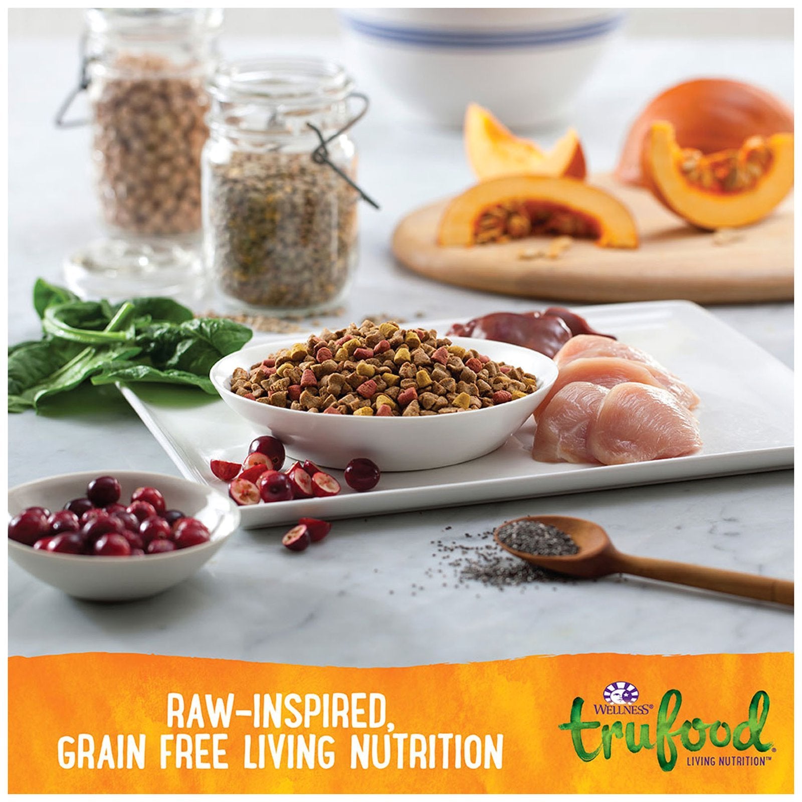 Wellness TruFood Baked Blends Grain-Free Chicken, Chicken Liver & Lentils Adult Recipe Dry Cat Food 2lb - Kohepets