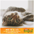 Wellness TruFood CocoChia Bakes with Chicken, Beets & Coconut Oil Grain-Free Cat Treats 3oz - Kohepets