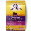 Wellness Complete Health Grain Free Indoor Salmon & Herring Dry Cat Food - Kohepets