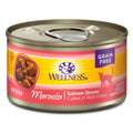 Wellness Complete Health Morsels Cubed Salmon Dinner Canned Cat Food 156g - Kohepets
