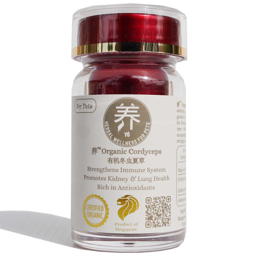 Yo Organic Cordyceps Herbal Supplements For Cats & Dogs 30c | Kohepets