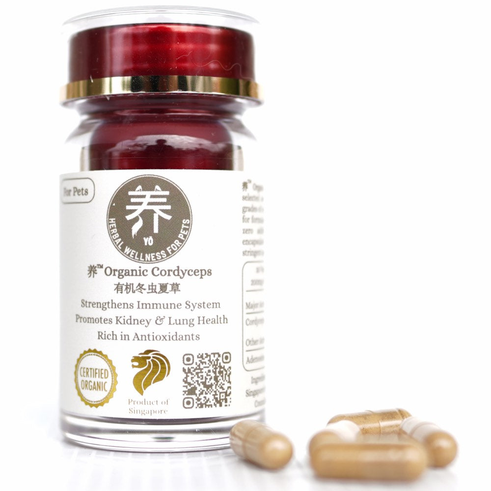 Yo Organic Cordyceps Herbal Supplements For Cats & Dogs 30c (Exp Feb 2026)