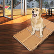 Yogi Giant Pee Tray - Kohepets