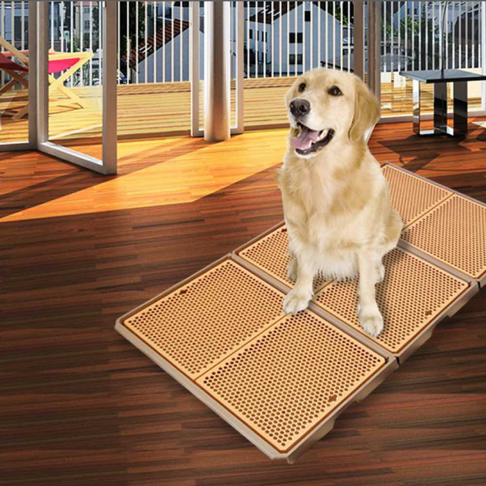 Yogi Giant Pee Tray - Kohepets