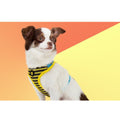Zee.Dog Buzz Air Mesh Plus Dog Harness - Kohepets