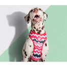 Zee.Dog Maui Air Mesh Plus Dog Harness