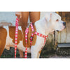 Zee.Dog Pink Skull Step-In Dog Harness - Kohepets
