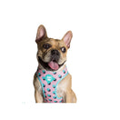 Zee.Dog Polka Air Mesh Plus Dog Harness