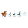 Zee.Dog Blink Soft-Walk Dog Harness - Kohepets