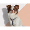Zee.Dog Triangle H Dog Harness - Kohepets