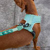 Zee.Dog Air Mesh Dog Harness (Army Green)