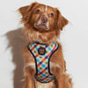 Zee.Dog Phantom Mesh Plus Dog Harness - Kohepets
