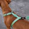 Zee.Dog Dog H-Harness (Army Green)
