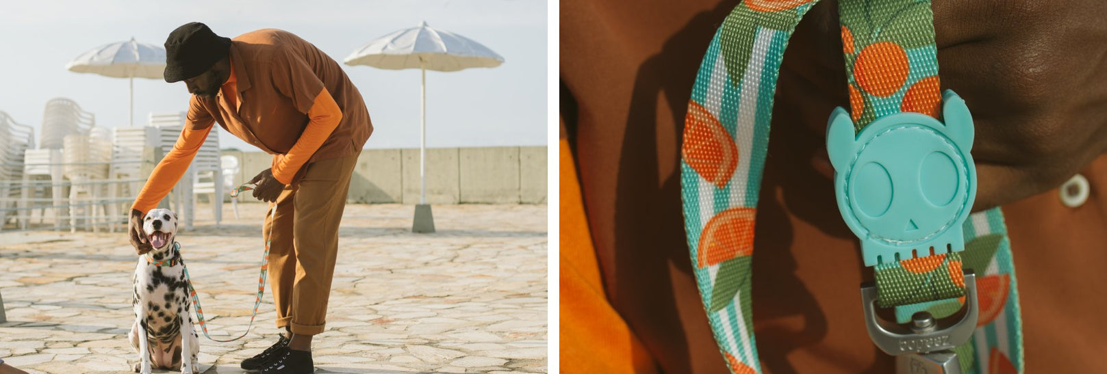 30% OFF: Zee.Dog Dog Leash (Florida) - Kohepets