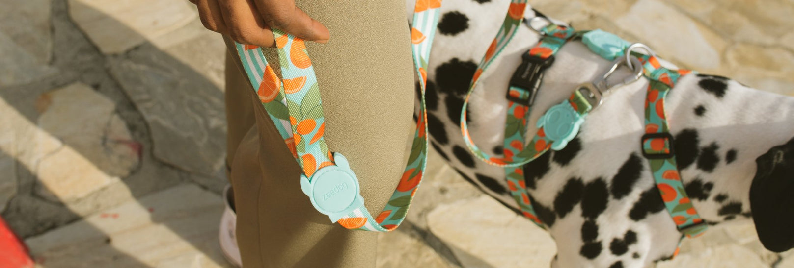 30% OFF: Zee.Dog Dog Leash (Florida) - Kohepets