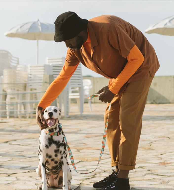 30% OFF: Zee.Dog Dog Leash (Florida) - Kohepets