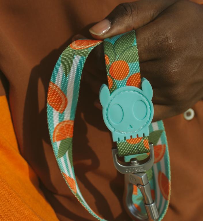 30% OFF: Zee.Dog Dog Leash (Florida) - Kohepets