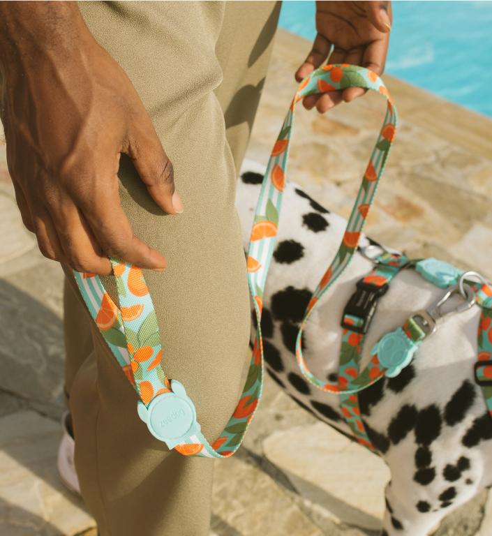 30% OFF: Zee.Dog Dog Leash (Florida) - Kohepets
