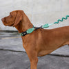 Zee.Dog Ruff Dog Leash (Army Green)