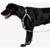Zee.Dog Soft Walk Dog Harness (Army Green)