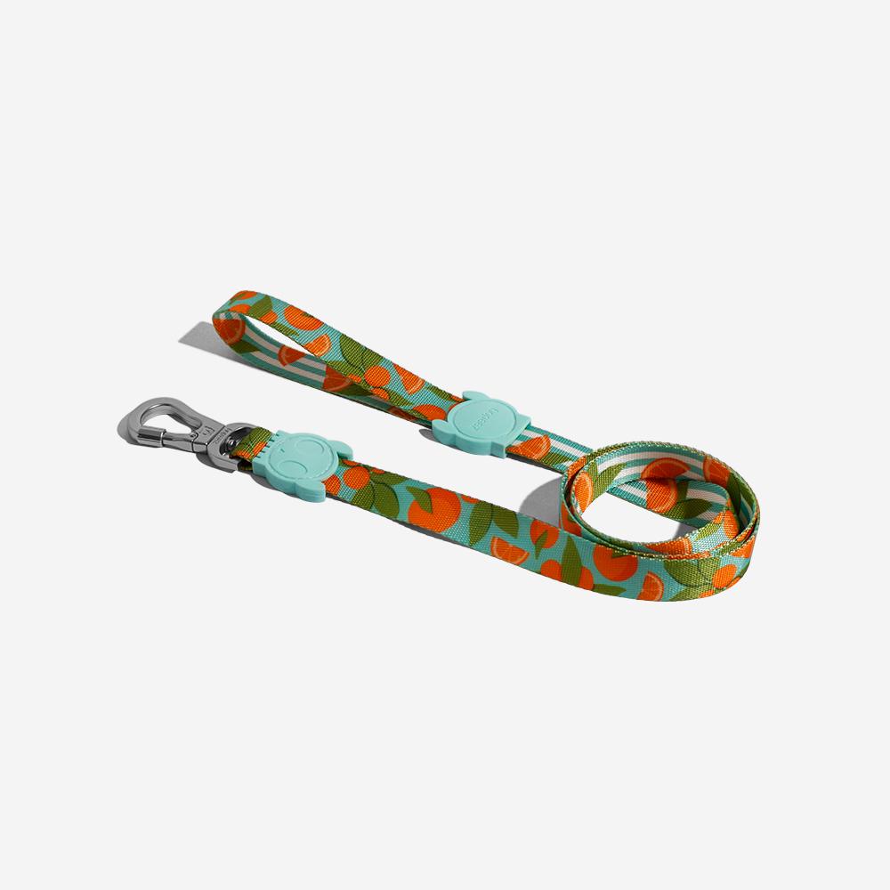 30% OFF: Zee.Dog Dog Leash (Florida) - Kohepets