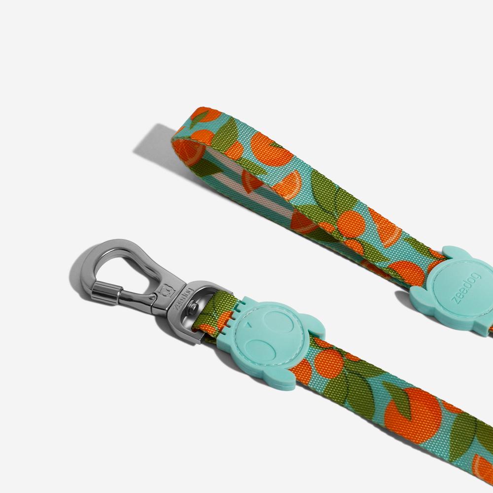 30% OFF: Zee.Dog Dog Leash (Florida) - Kohepets