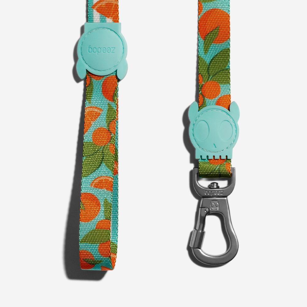 30% OFF: Zee.Dog Dog Leash (Florida) - Kohepets