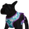 Zee.Dog Barracuda Mesh Plus Dog Harness - Kohepets