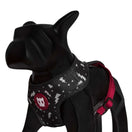 Zee.Dog Flash Mesh Plus Dog Harness