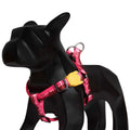 Zee.Dog Cake Step-In Dog Harness - Kohepets