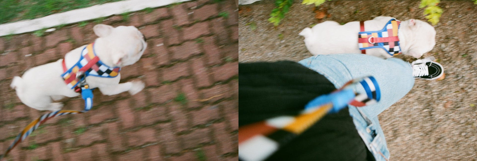 30% OFF: Zee.Dog Dog Leash (Blocks) - Kohepets