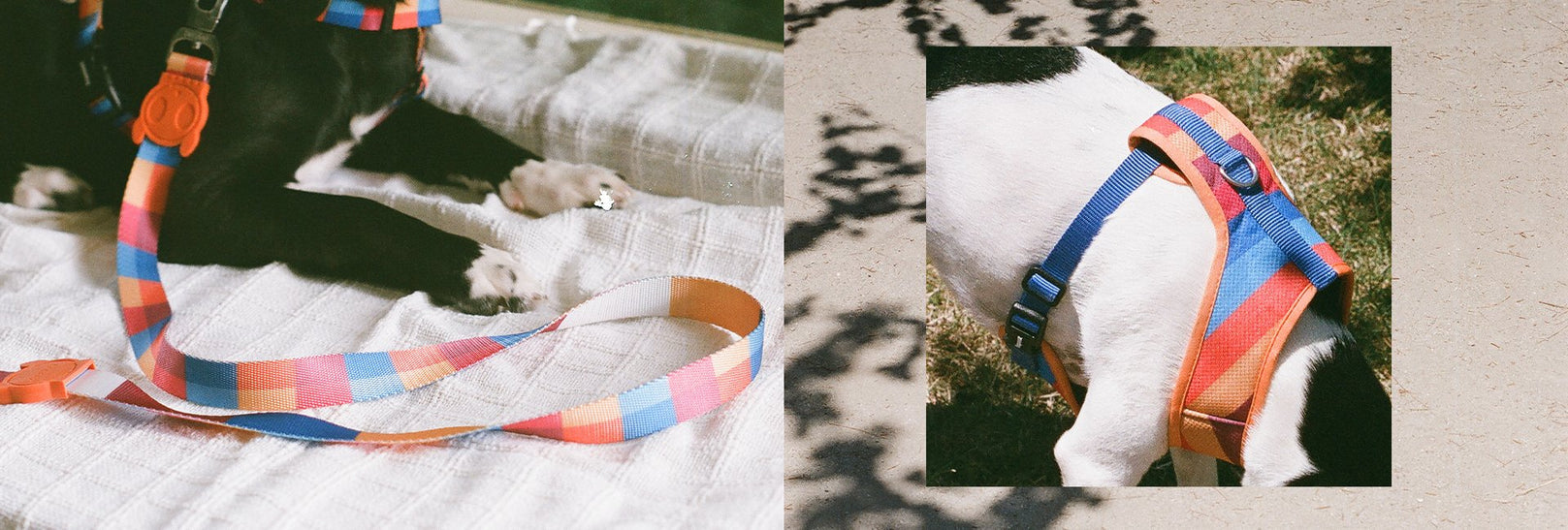 30% OFF: Zee.Dog Dog Leash (Parker) - Kohepets