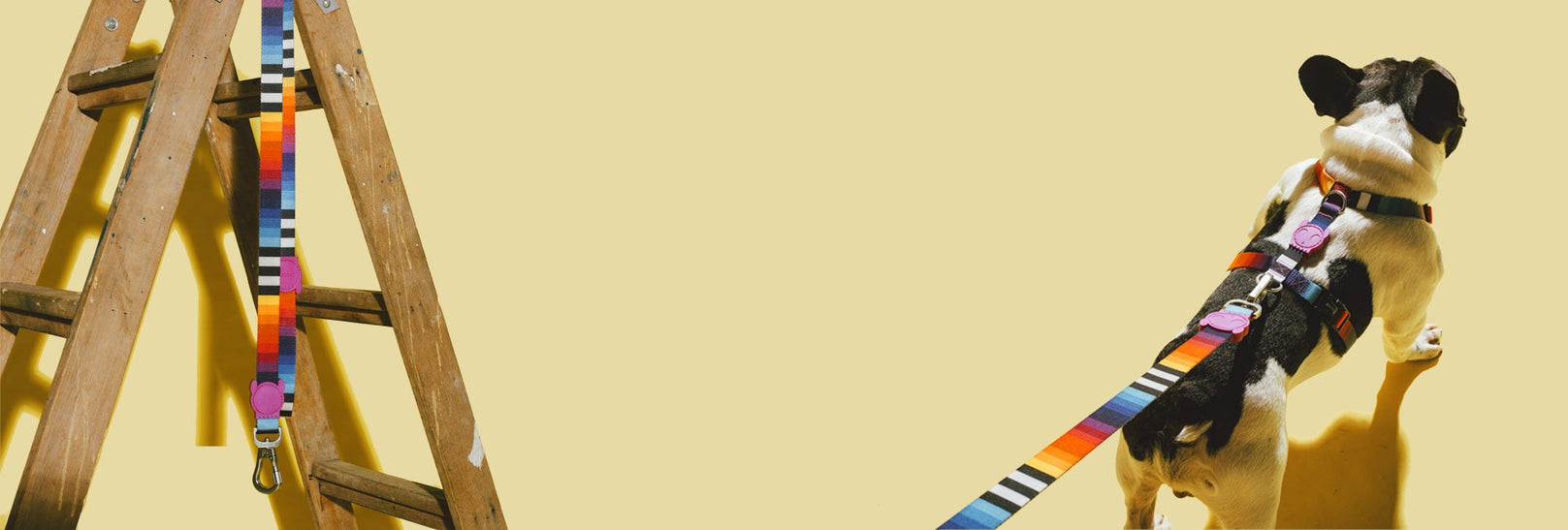 30% OFF: Zee.Dog Dog Leash (Prisma) - Kohepets