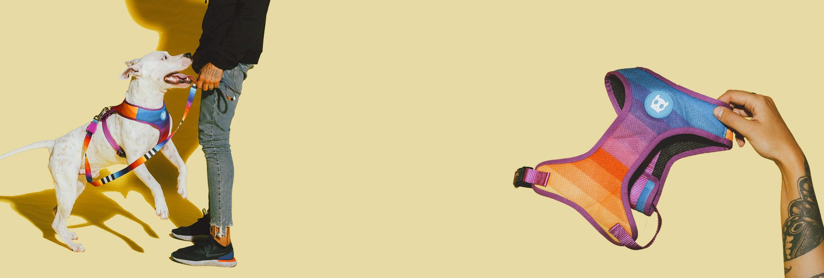 30% OFF: Zee.Dog Dog Leash (Prisma) - Kohepets