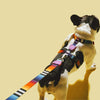 30% OFF: Zee.Dog Dog Leash (Prisma) - Kohepets