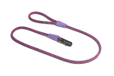 20% OFF: Zee.Dog Rope Dog Leash (Cosmo) - Kohepets