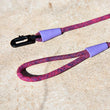 20% OFF: Zee.Dog Rope Dog Leash (Cosmo) - Kohepets
