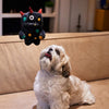 Zee.Dog Alien Flex Ghim Plush Dog Toy - Kohepets