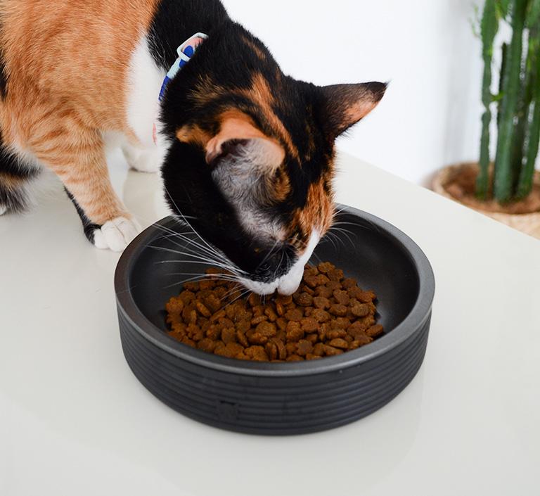 Zee.Cat Duo Cat Bowl (Black) Kohepets