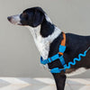 20% OFF: Zee.Dog Ruff Shock Absorbent Dog Leash (Delta) - Kohepets