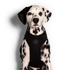 30% OFF: Zee.Dog Air Mesh Dog Harness (Gotham) - Kohepets